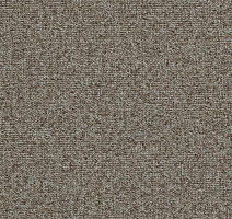 Ковровая плитка Tessera Basis 379 Suede фото 1 | FLOORDEALER